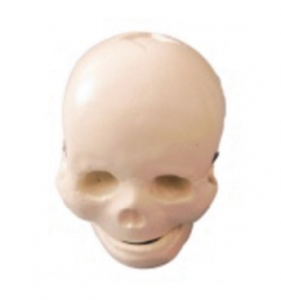How to use baby skull models for medical education and training?