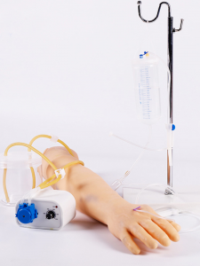 The material selection of the fully functional venipuncture and infusion arm model is crucial.