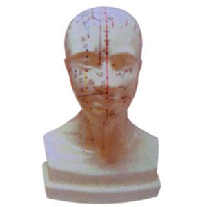 Head four functions acupoint model: accurate positioning, health escort
