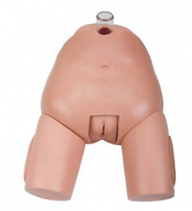 Can the bladder puncture model provide more practical experience for medical training?