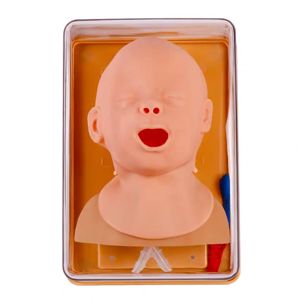 BIX-J3A Infant Airway Intubation Guide: Why Infant Anatomy Demands Its Own Training Model