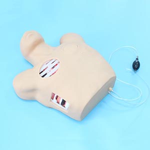 Medical Teaching Model