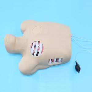 Chest Puncture Training Model