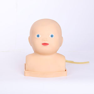 Advanced Infant Head Venipentesis Training Model