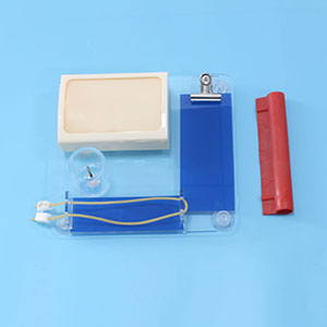 Medical teaching model