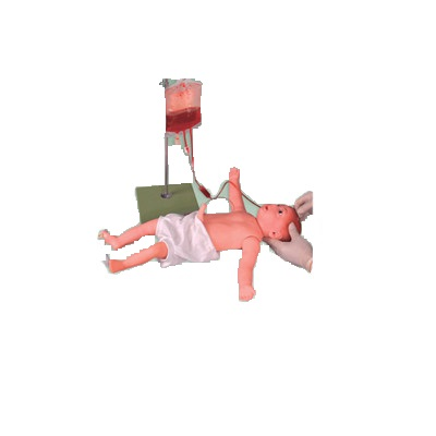 Infantile venipuncture Model