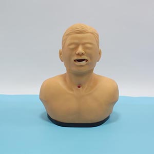 Tracheotomy Nursing Model