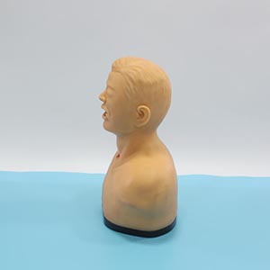 Medical Nursing Model