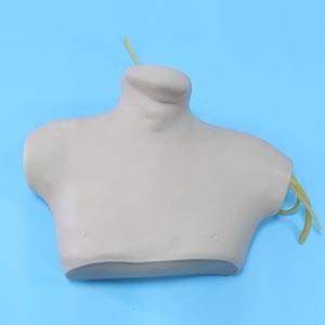 Central venipuncture intubation model