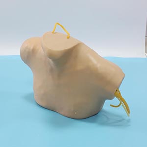 Medical clinical model