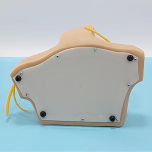 BIX-L68B