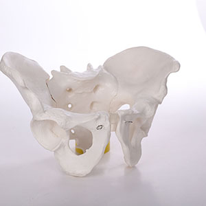 BIX-A1035