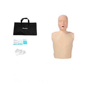 Simple half-body cardiopulmonary resuscitation simulator