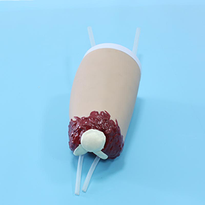 Hemostasis model of lower limb trauma