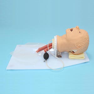 Classical Tracheal intubation training model
