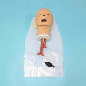classical tracheal intubation training model