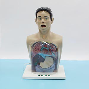 Multifunctional gastric lavage model