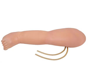 Leg venipuncture model